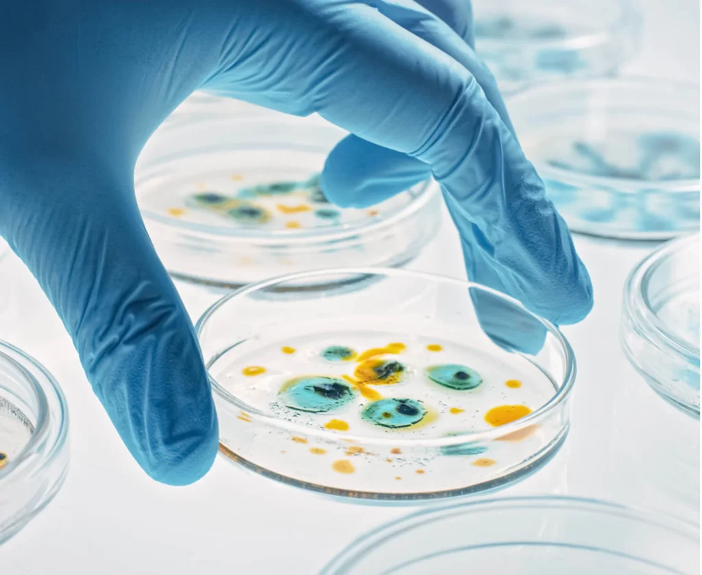 Microbial Organisms image