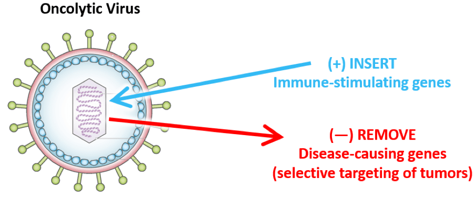 Oncolytic Virus graphic