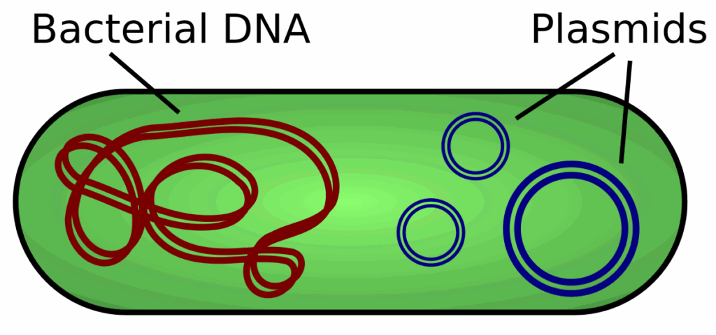 Green Plasmid Graphic