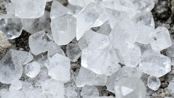 Polysaccharide graphic, Elise Biopharma