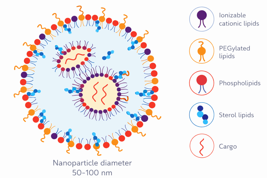 Nanoparticle diameter