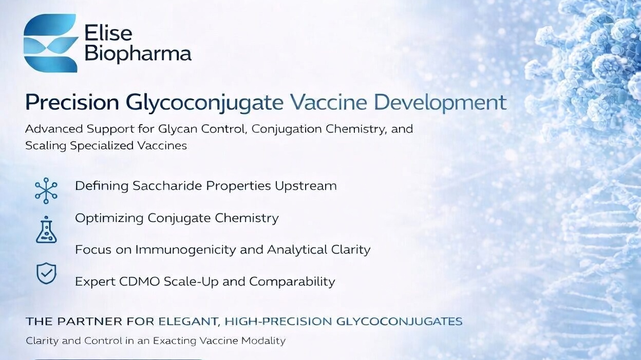 Elise Biopharma promotional graphic for Precision Glyco-conjugate Vaccine Development. The blue and white design features the company logo at the top left, a large title 'Precision Glyco-conjugate Vaccine Development', and subtitle about advanced support for glycan control, conjugation chemistry, and scaling specialized vaccines. On the left are three clean, geometric blue icons with corresponding text: a snowflake-like molecule for 'Defining Saccharide Properties Upstream', a laboratory flask for 'Optimizing Conjugate Chemistry', and a shield with checkmark for 'Expert CDMO Scale-Up and Comparability'. Below is the tagline 'THE PARTNER FOR ELEGANT, HIGH-PRECISION GLYCOCONJUGATES' and a 'DISCUSS YOUR PROJECT' button. The right side displays a detailed 3D visualization of a virus particle and DNA helix against a soft blue abstract background.
